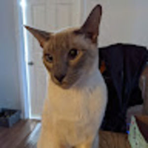 Meet your Posher, Leif5234